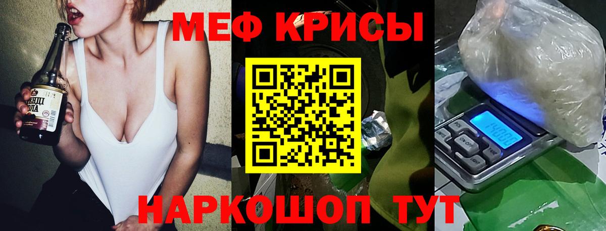 МЕФ  Каменка