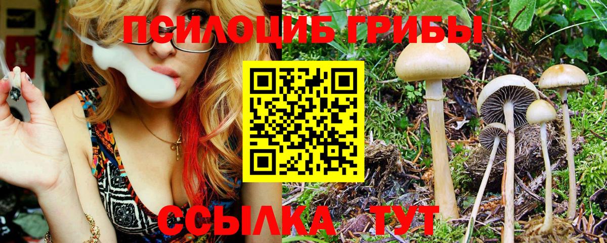 Галлюциногенные грибы MAGIC MUSHROOMS Каменка