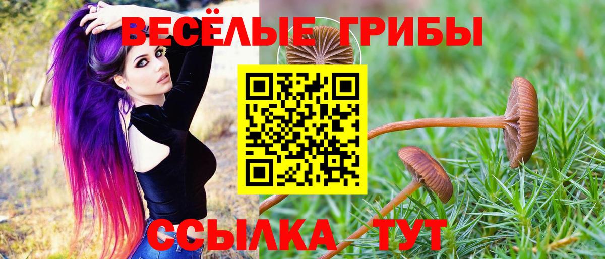 Галлюциногенные грибы мицелий  Вход с VPN  Каменка 